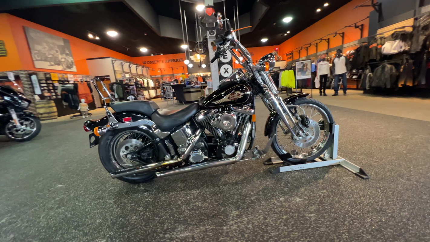 Springer® Softail®