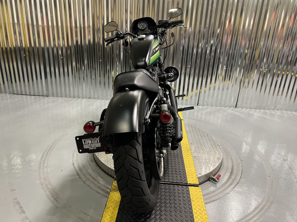 Iron 1200®