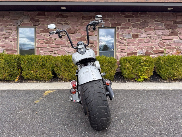 Softail® Cross Bones®