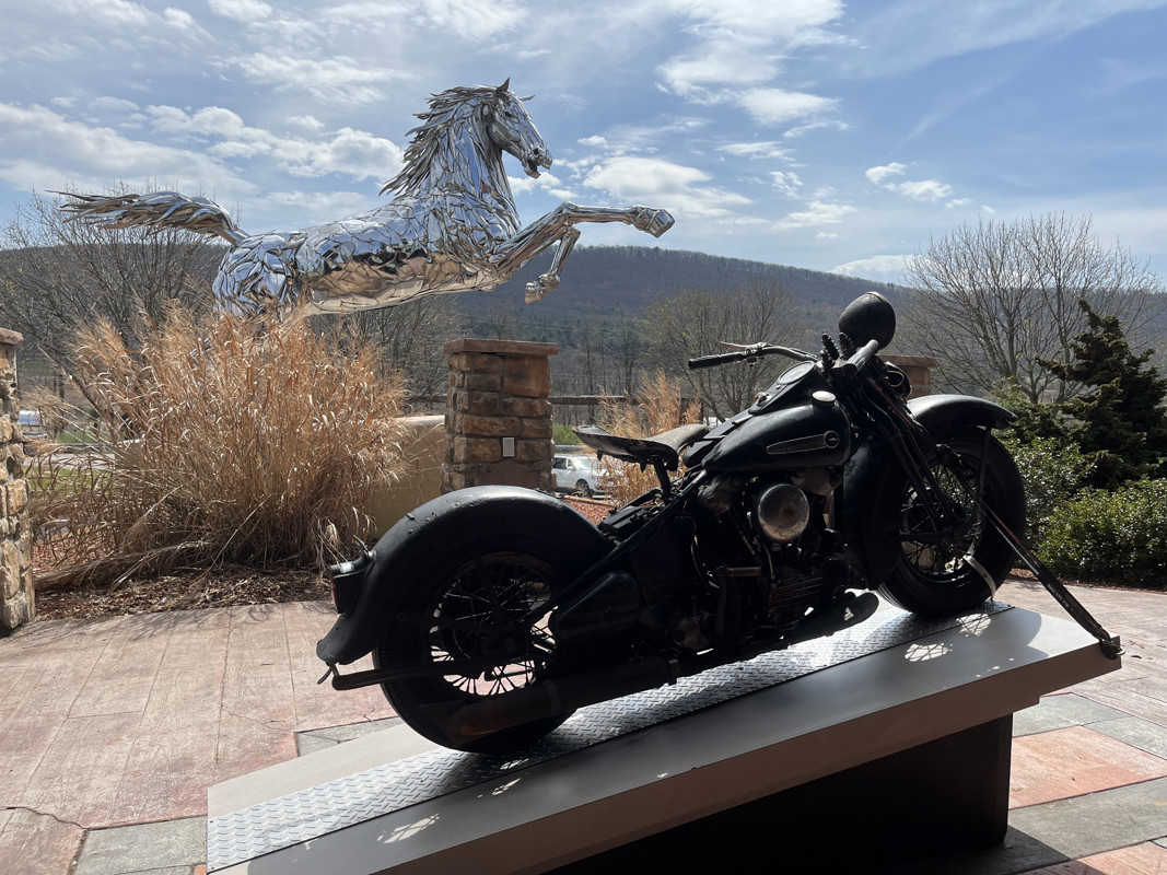 Special Sport Solo Knucklehead