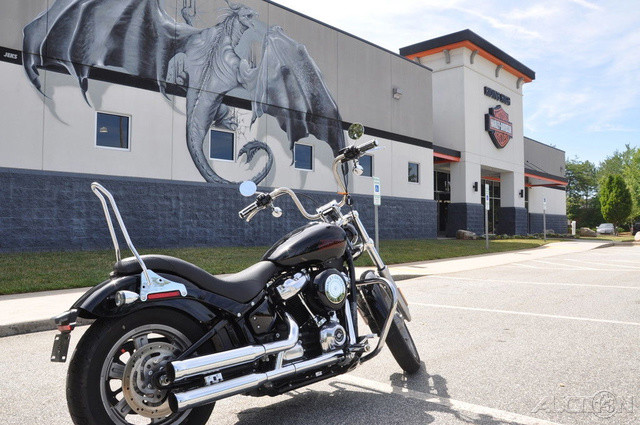 Softail® Standard