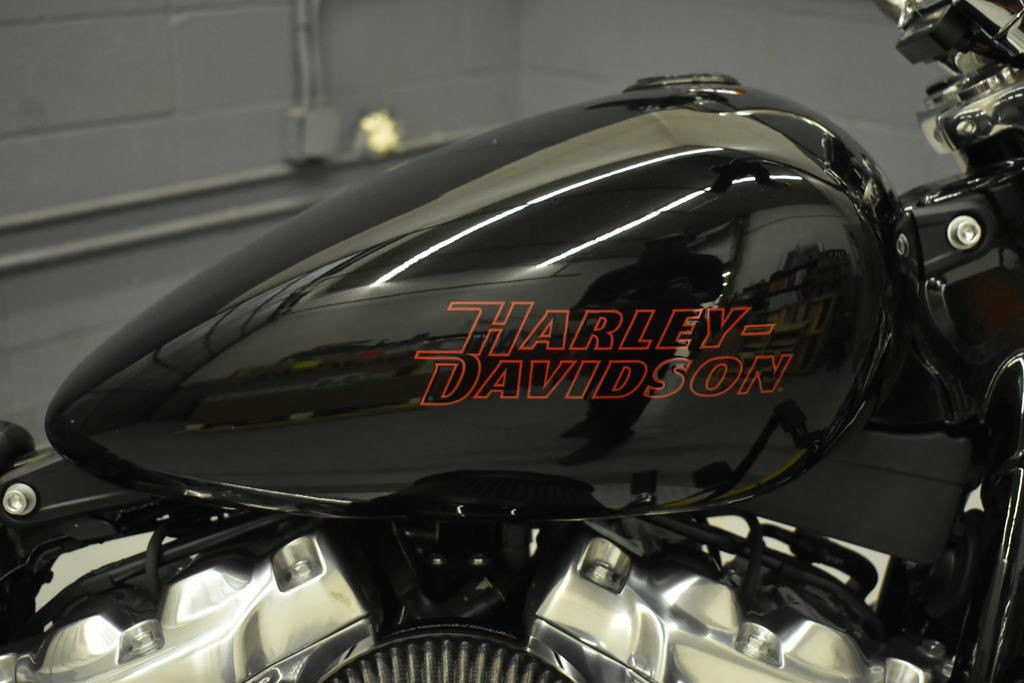Softail® Standard