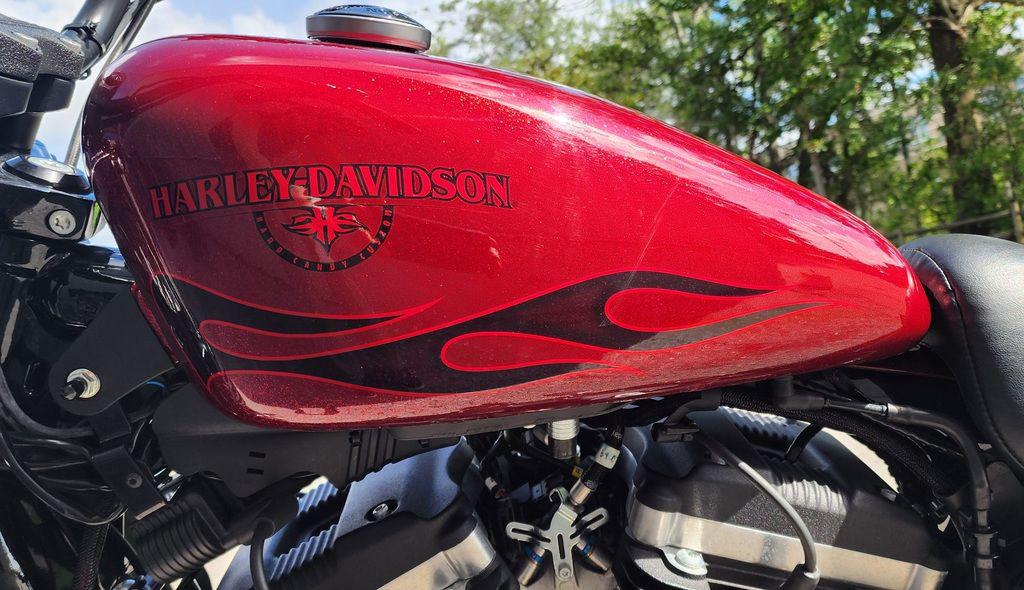 Sportster® Iron 883®