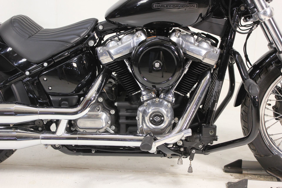 Softail® Standard
