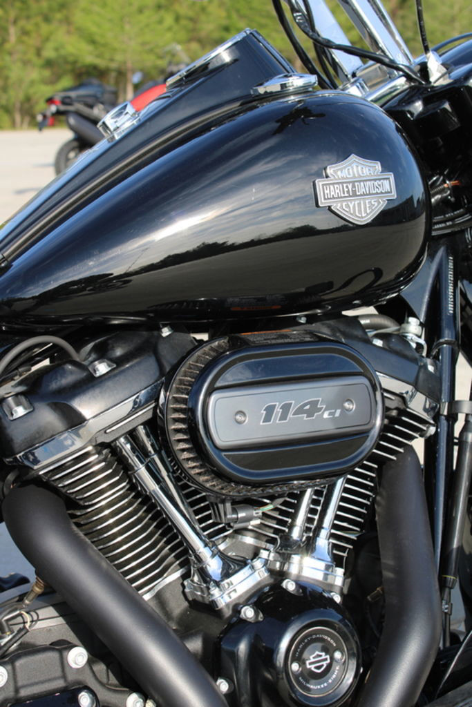 Road King® Special
