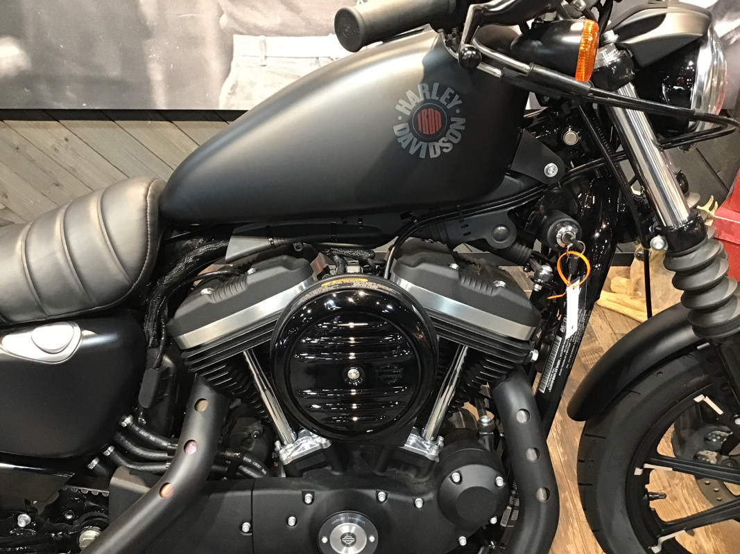 Iron 883®