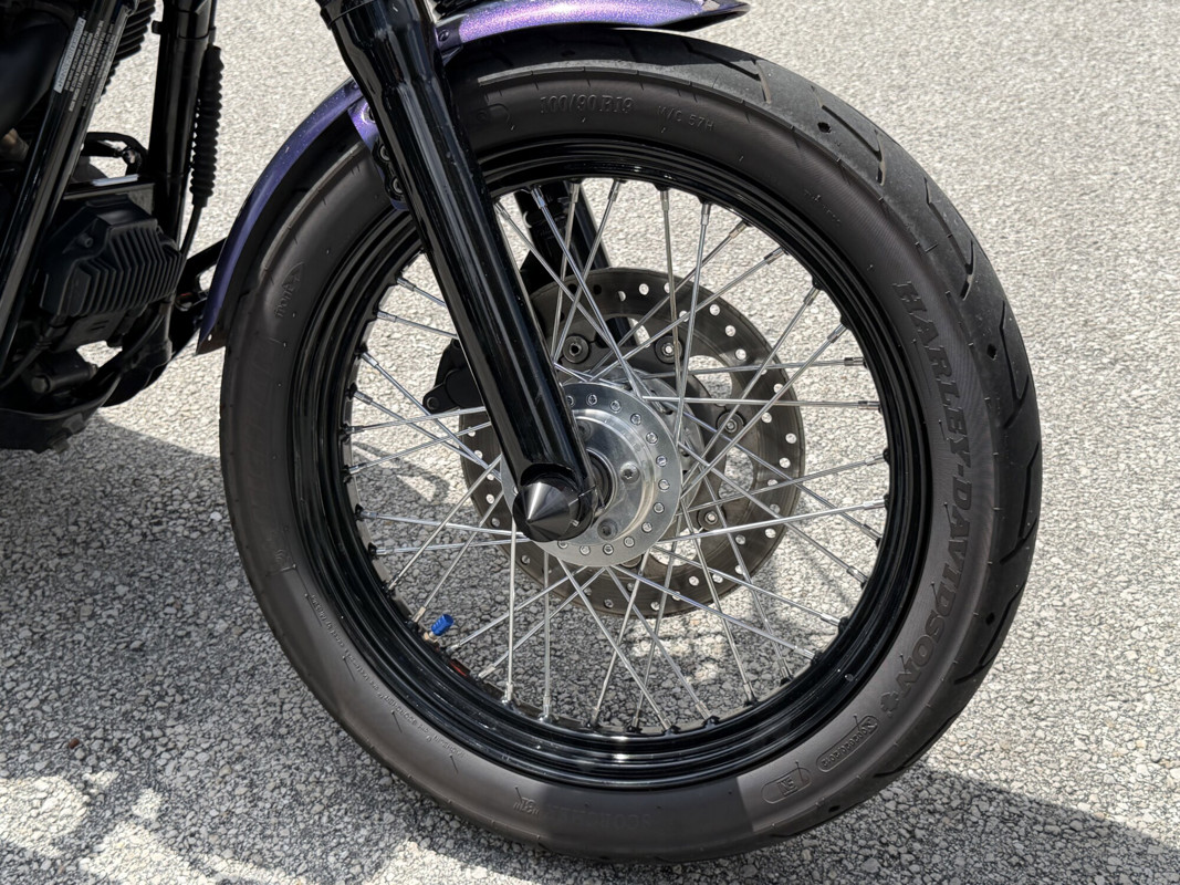 Dyna® Street Bob®