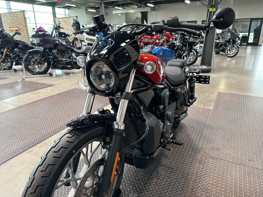 Nightster Special