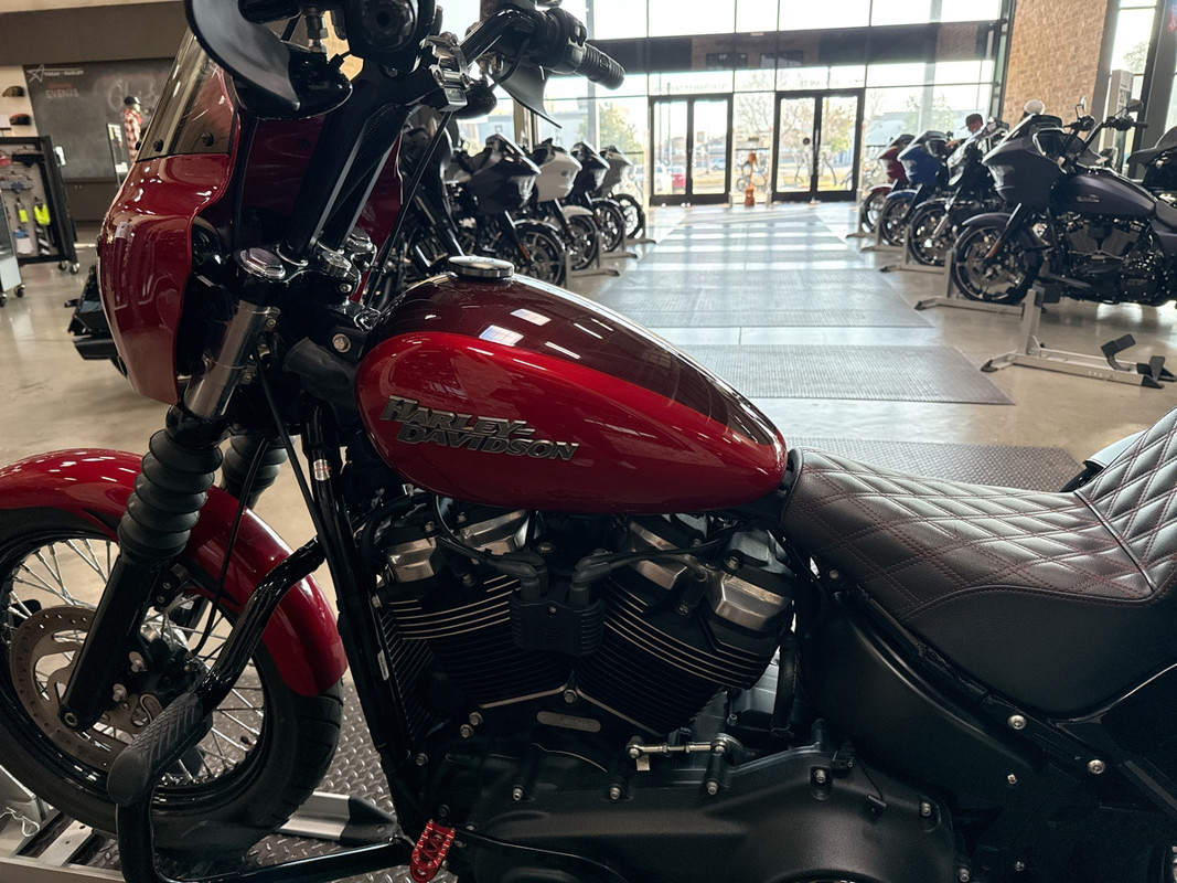 Softail® Street Bob®