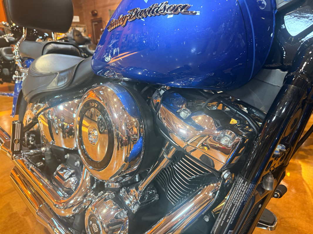 Softail® Deluxe