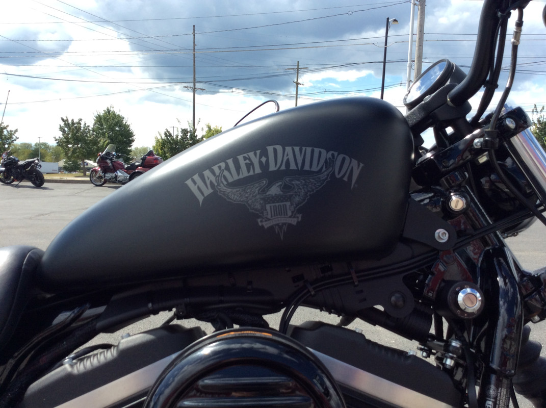 Sportster® Iron 883®