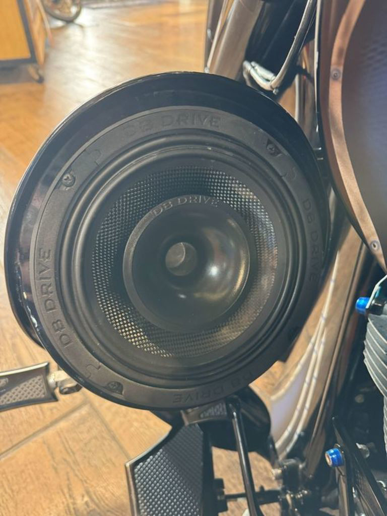Road Glide® Special