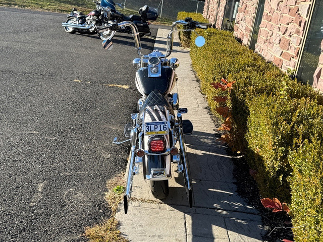 Heritage Softail® Classic 