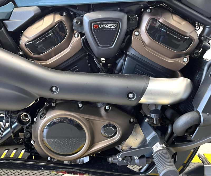 Sportster® S