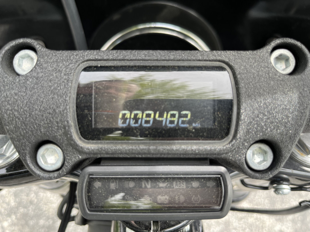Street Bob® 114