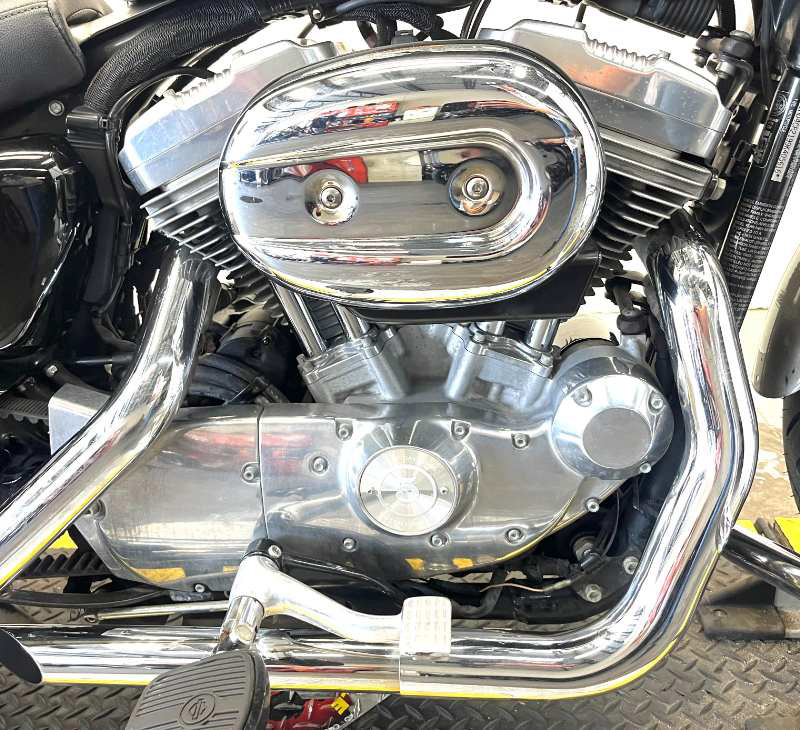 Sportster® 883 Low
