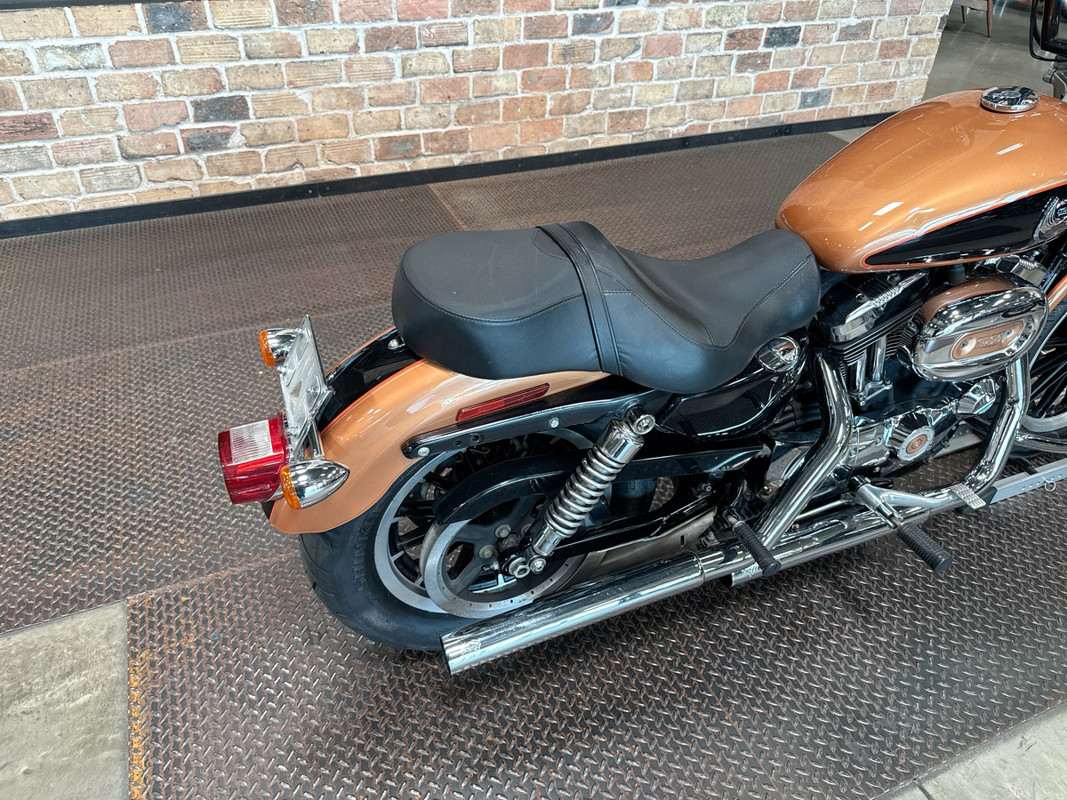 Sportster® 1200 Low Anniversary