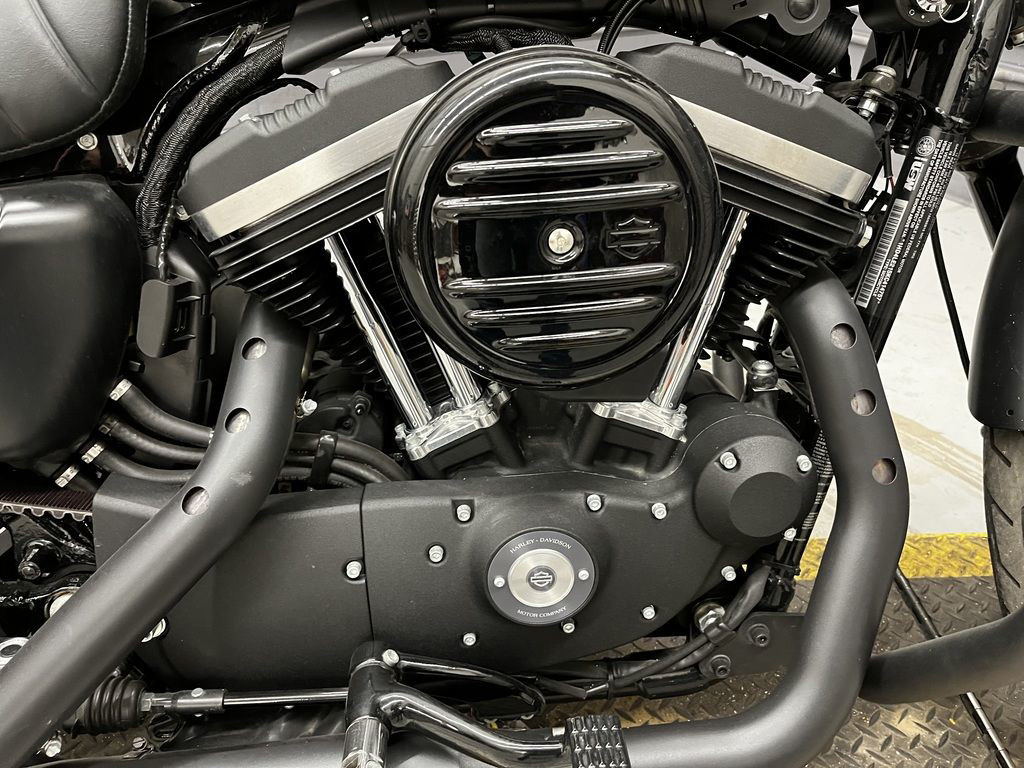Sportster® Iron 883®