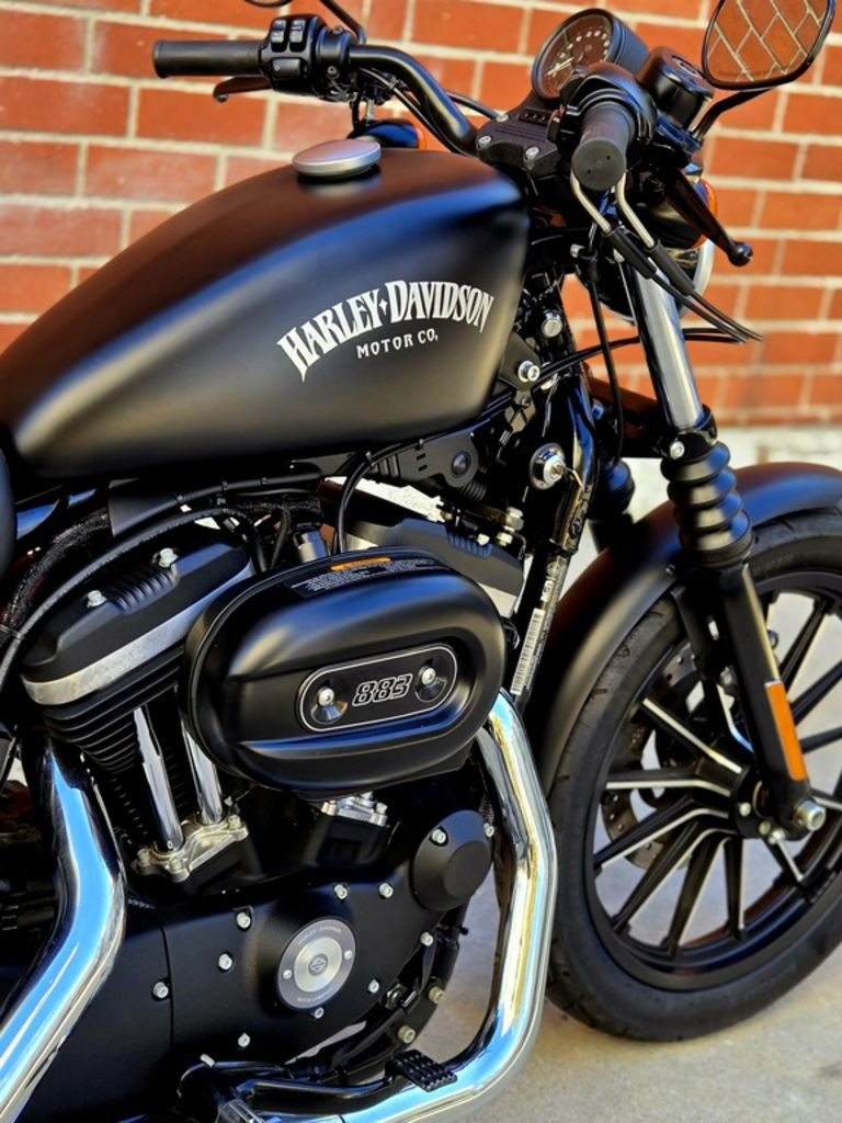 Sportster® Iron 883®