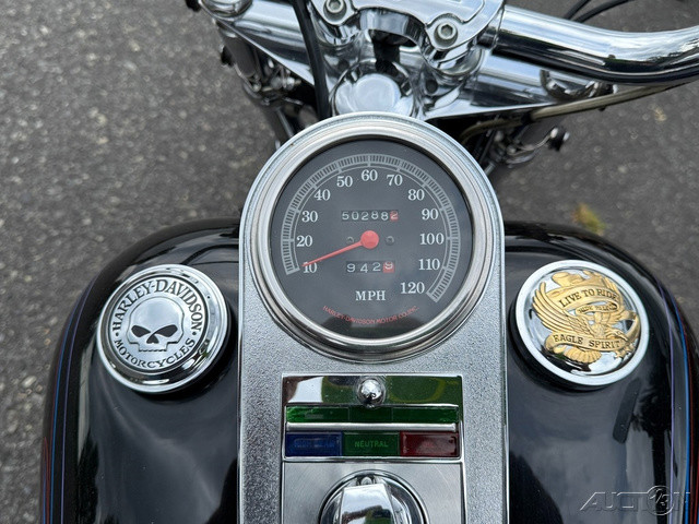 Softail® Custom