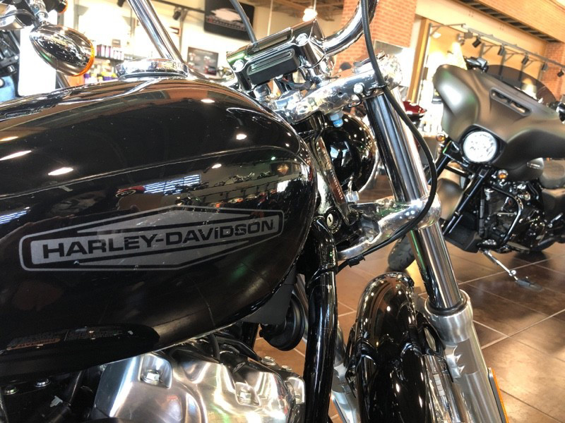 Softail® Standard