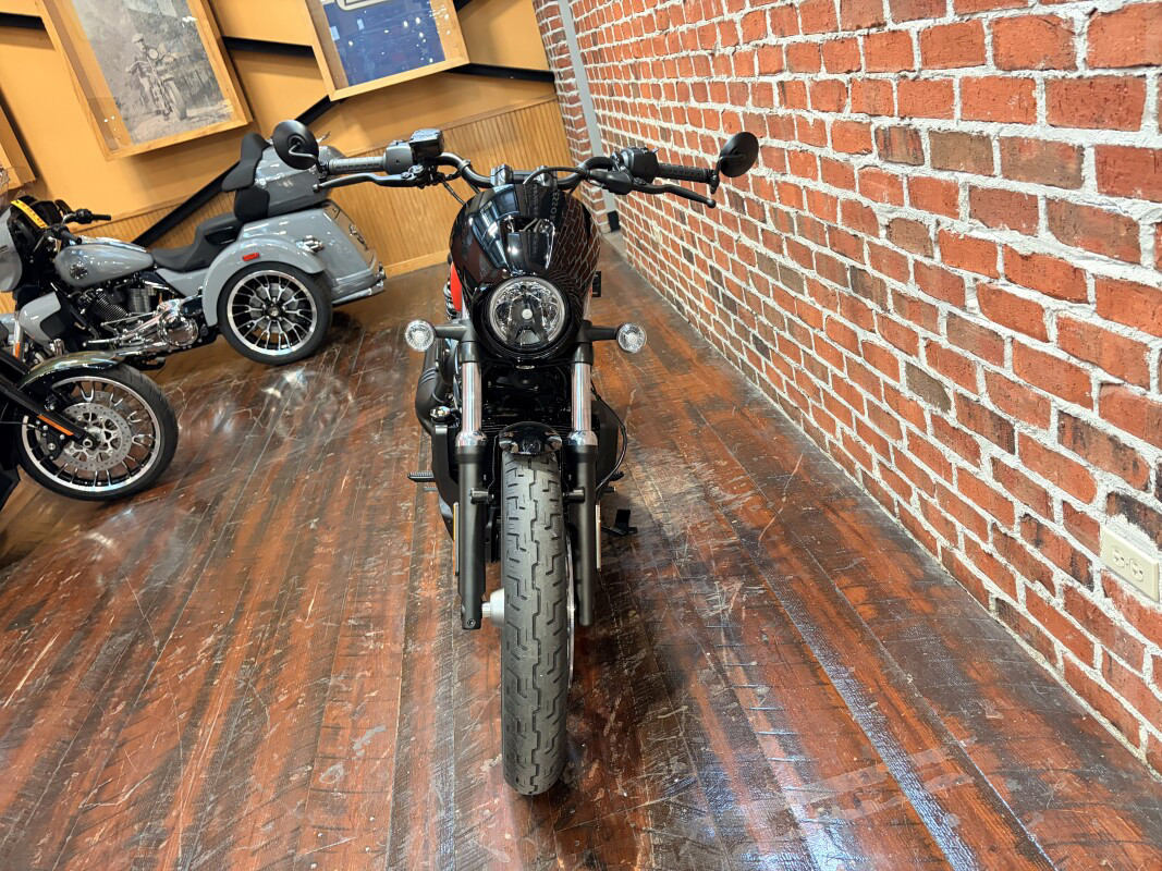 Nightster Special