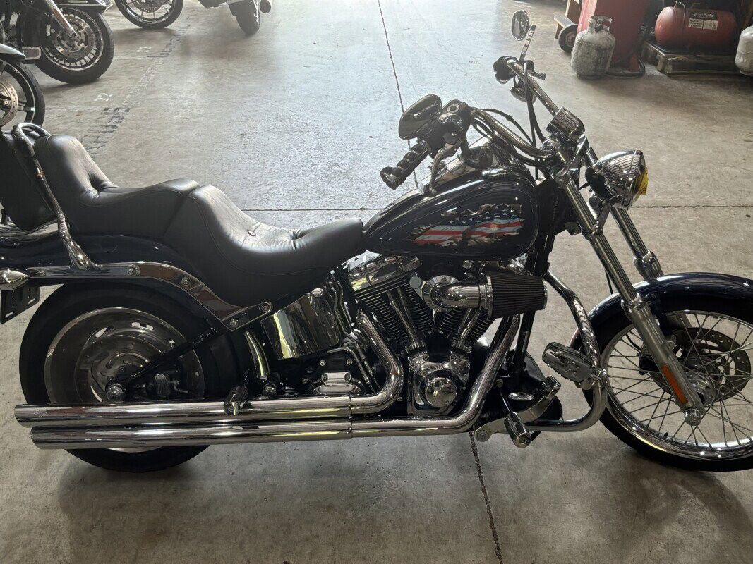 Softail® Custom