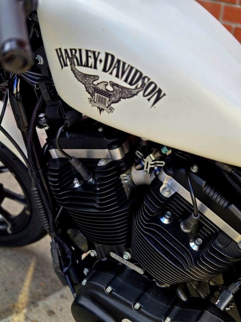 Sportster® Iron 883®