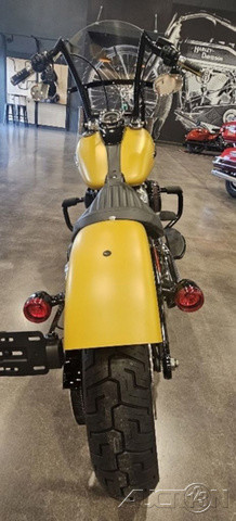 Softail® Slim®