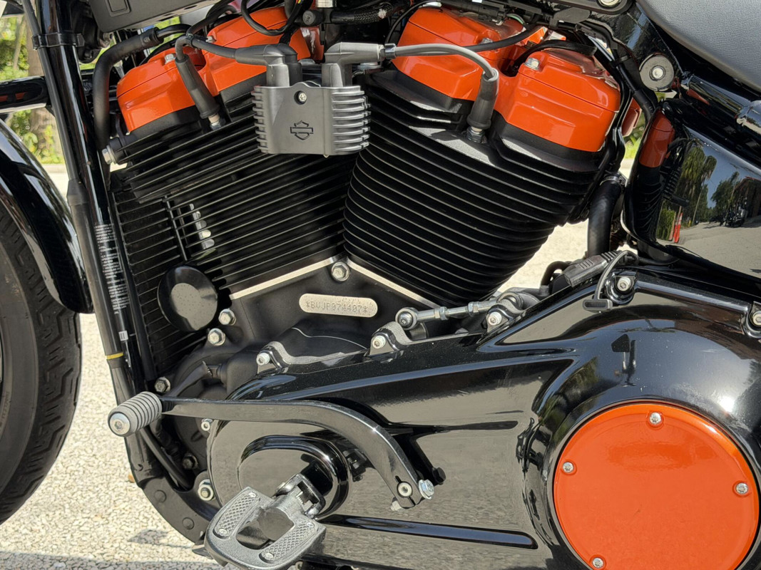 Softail® Standard