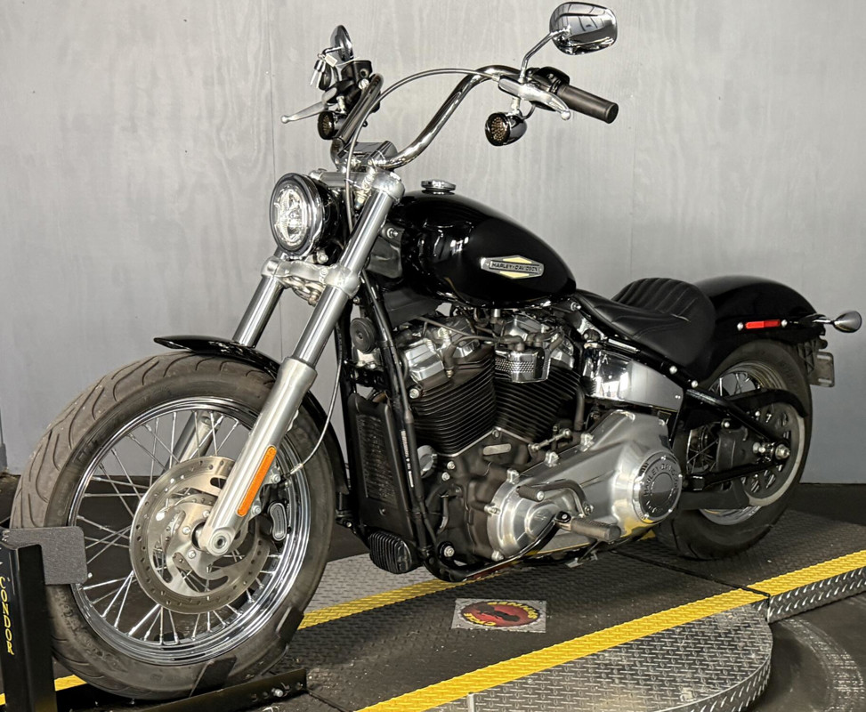Softail® Standard