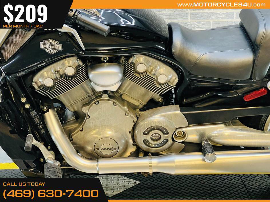 V-Rod Muscle®