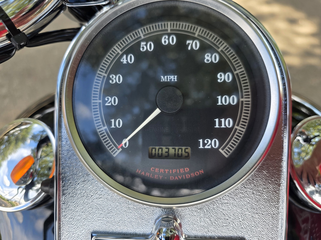 Springer® Softail®