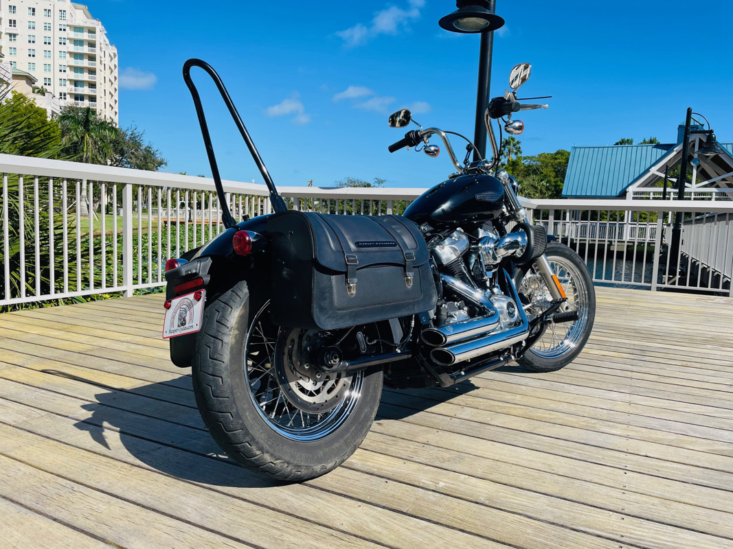 Softail® Standard