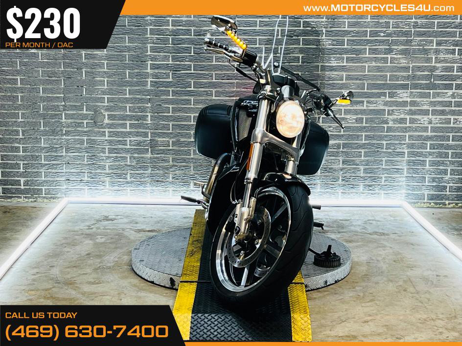 V-Rod Muscle®