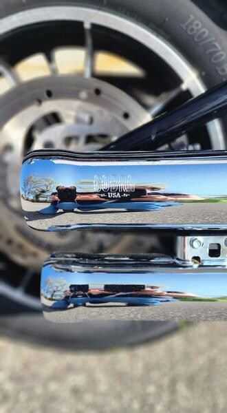 Softail® Low Rider®