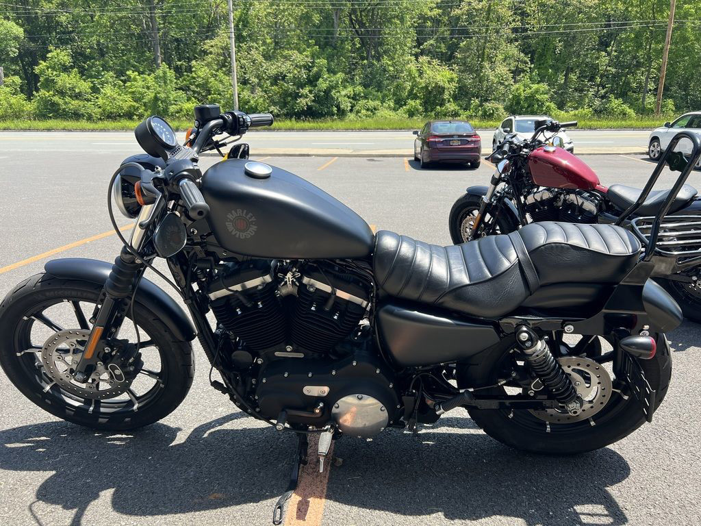 Iron 883®