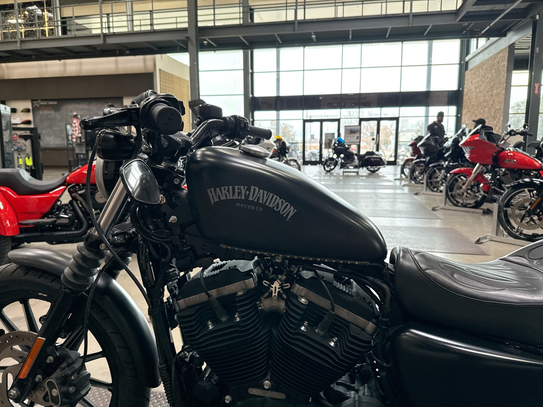 Sportster® Iron 883®