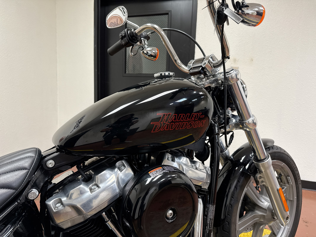 Softail® Standard