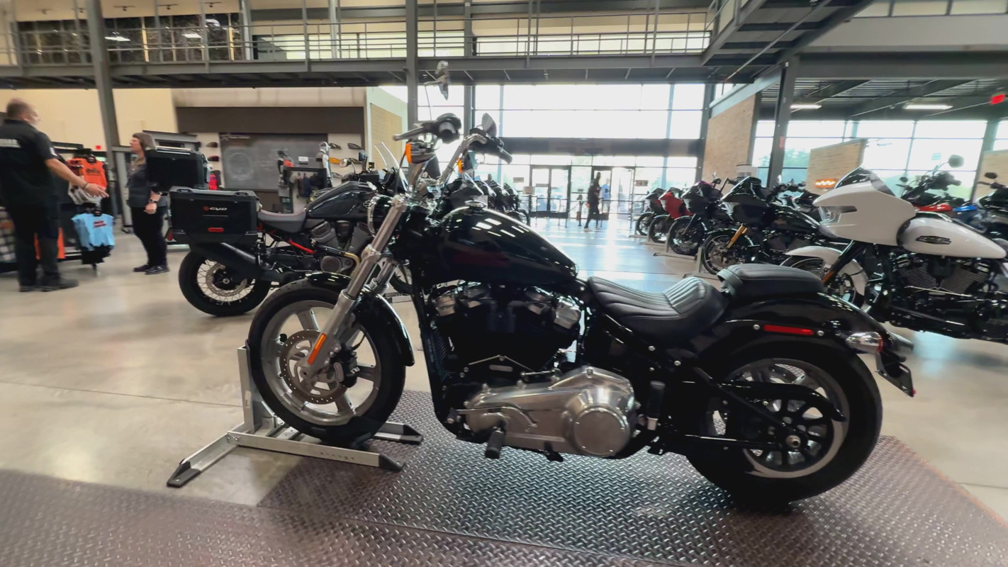 Softail® Standard