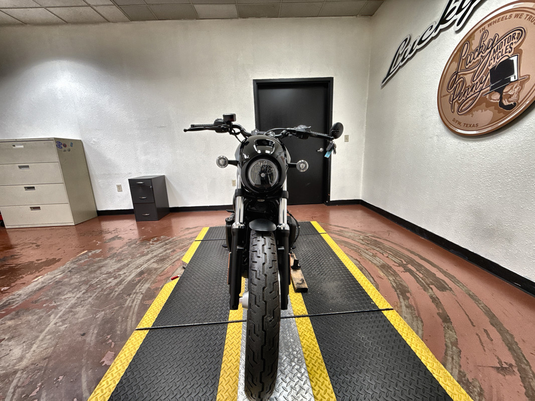 Nightster Special