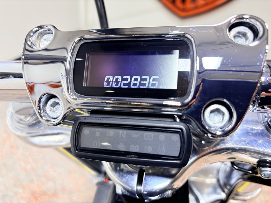Softail® Standard