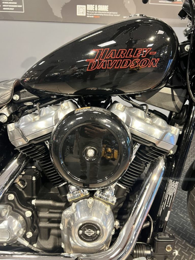 Softail® Standard