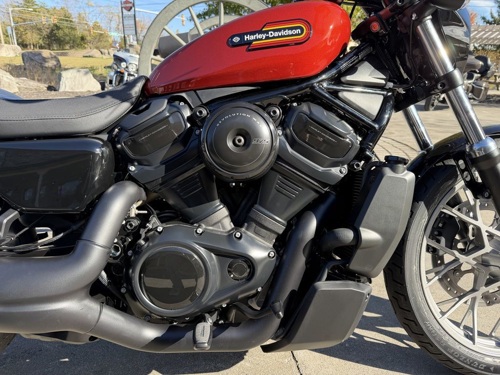 Nightster Special