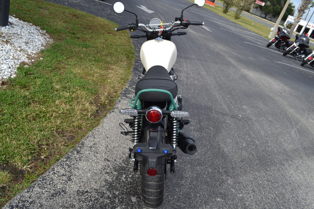 Bear 650