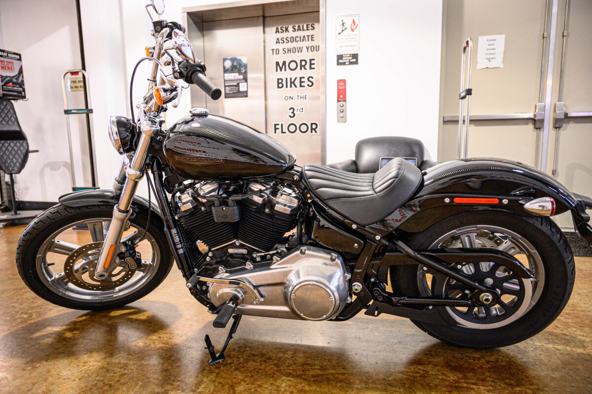 Softail® Standard