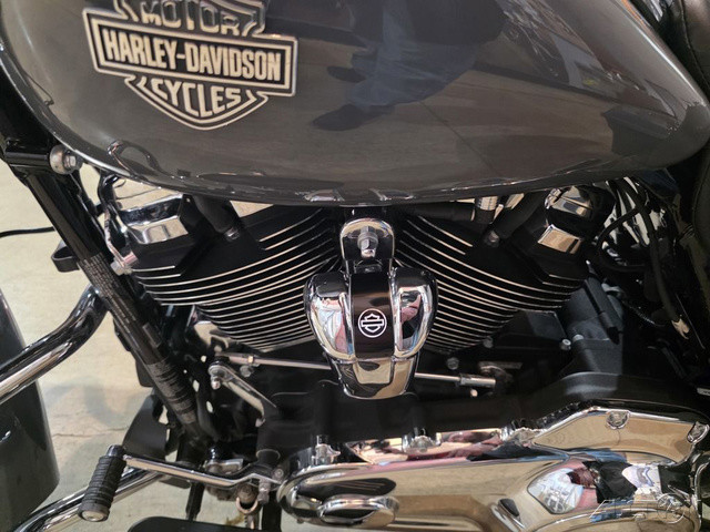 Street Glide® Special