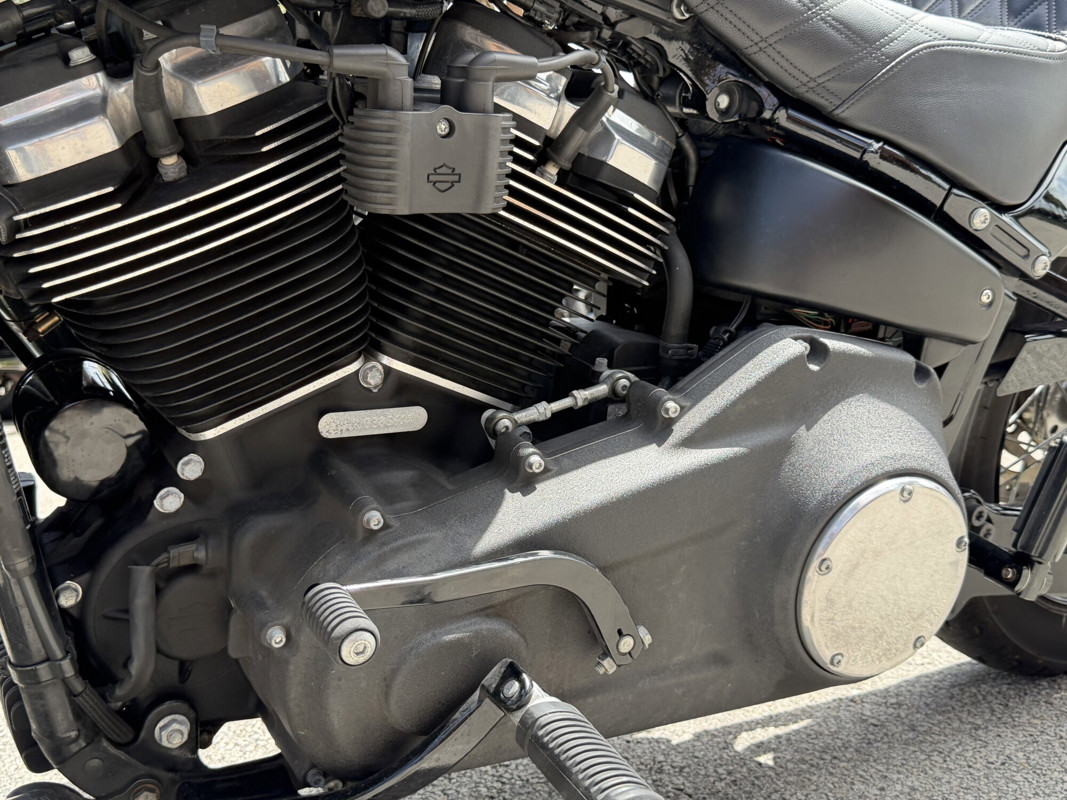 Street Bob®