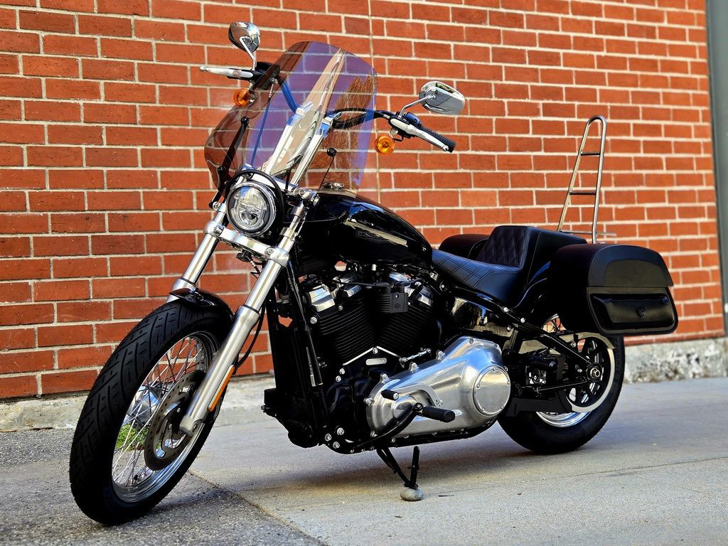 Softail® Standard