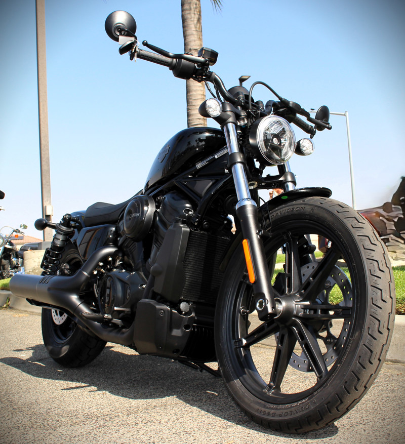 Nightster